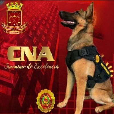 Unidad Regional de Inteligencia Antidrogas Nº 13 Falcón. Lucha frontal contra el Tráfico Ilícito de Drogas ¡LEALES SIEMPRE, TRAIDORES NUNCA! 🇻🇪