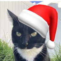 Led (@santamuffin) 's Twitter Profile Photo Led (@santamuffin) 's Twitter Profile Photo