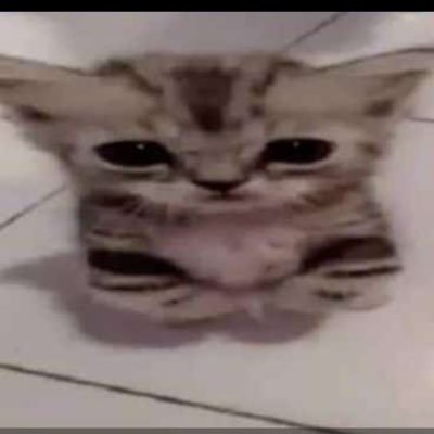 arkatoon's profile picture. 
