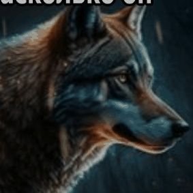 Vitalij435678's profile picture. 