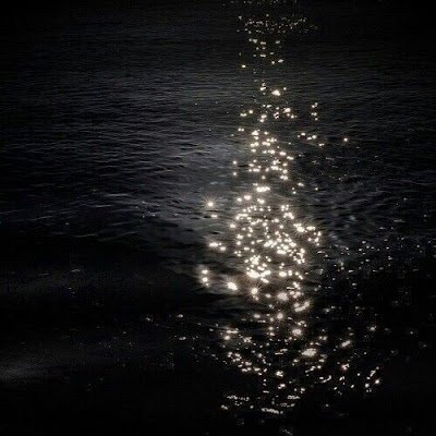 Tuid1212's profile picture. 