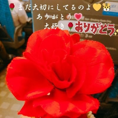 🇷🇴🪷🌼SGI🌼🪷🇷🇴
🌼世界平和🌍
🌼みんな健康
🌼ずっとアリス九號.九組
🌼虎くん(天野真志さん)
宇宙一大好き💛
🌹は熊本での思い出💖虎くん有難う😊
