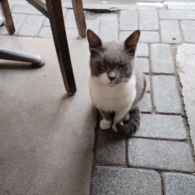 dilaraayydiiin's profile picture. 