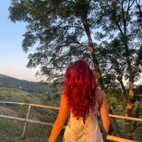 𝔁𝓸 (@j_ipynb) 's Twitter Profile