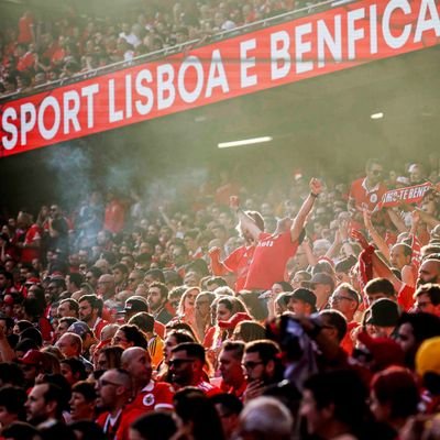 Benfica até morrer