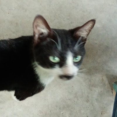 catdaosan777's profile picture. Blogger and
Internet surfer