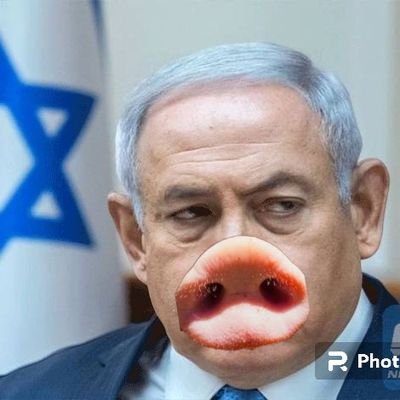 I LOVE MOESLEM
USA world terrorist
zionist terorist
Fuck jewish