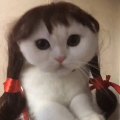 f0xeye5's profile picture. 