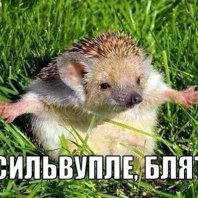 LKcL1dOEvafedAP's profile picture. А все таки она вертится