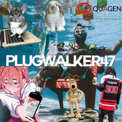 plugwalker47 Profile Picture