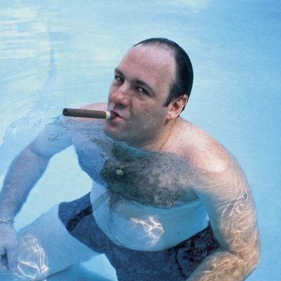 Tony Soprano of NFTs
wojapes
BOFA GANG