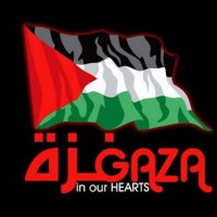 Gaza 7/october (@essoelsheikh20) 's Twitter Profile