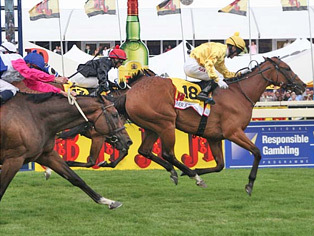 The J&B Met is the premier horse racing and fashion event in South Africa!
http://t.co/T4xMNeZ1X3