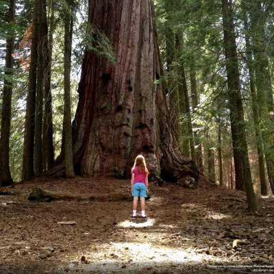 patvazven's profile picture. Mexicana de 70 años, casada hace 46 con Armando con quien amorosamente crié dos hijos; jubilosa jubilada de asistente ejecutiva bilingüe; leer es mi pasión.