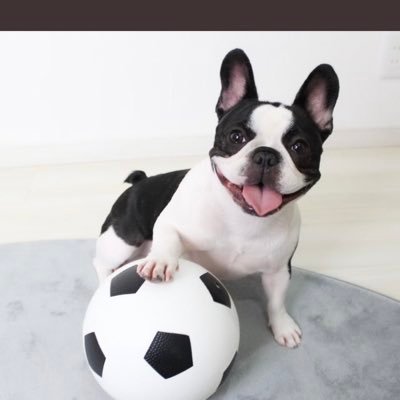 @buKgx3MSFj82ZOO