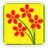 comunifioriti's profile image