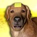 vampiredog (@vampiredog_ow) Twitter profile photo vampiredog (@vampiredog_ow) Twitter profile photo