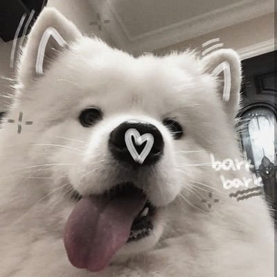 ♡ hiii! I'm angel / 21 / any pronouns / 18+ only
read my pinned!