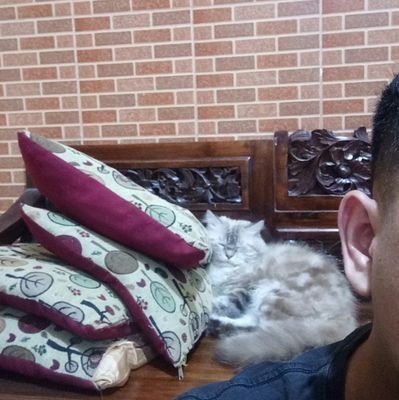 ssntoeko's profile picture. Building #NIP