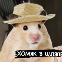 мимохомяквшляпе(@BRomumBArium) 's Twitter Profile Photo