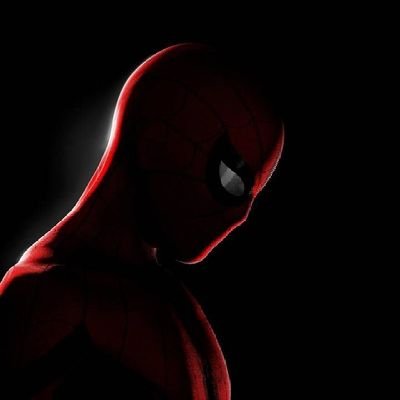 spidey1818's profile picture. 