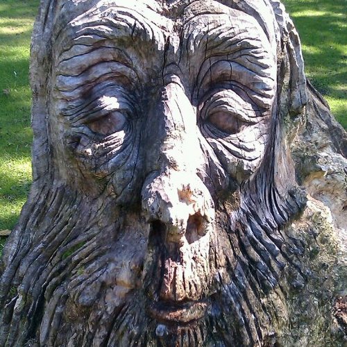 Moanerdad's profile picture. Dung beetles don’t have career advisors, they just get on with shifting balls of shit