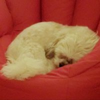 Paula (@paula8178681374) 's Twitter Profile Photo Paula (@paula8178681374) 's Twitter Profile Photo