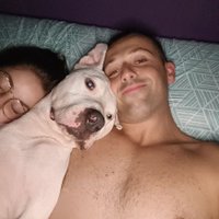 Alejandro Otero Romero (@0teroalejandro) 's Twitter Profile