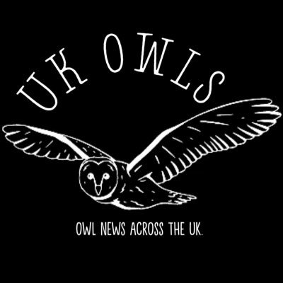 UK Owls - tweeting the latest news of owls located across the UK #ukowls