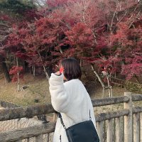 かがはな (@87_fl___) Twitter profile photo