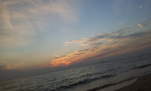 koreamansse's profile picture. 새로운 출발