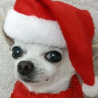 뗠기 (@s7r4wb3rry_cp) 's Twitter Profile Photo 뗠기 (@s7r4wb3rry_cp) 's Twitter Profile Photo