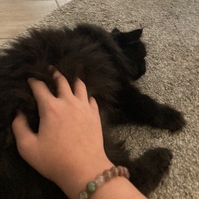 Inkisquid's profile picture. 🇷🇪🇫🇷