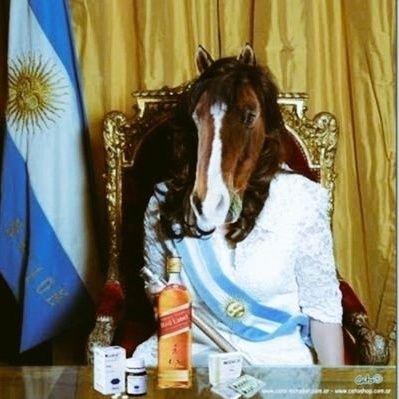 Si, soy yo, volví! Si sobreviví al Kirchnerismo, puedo sobrevivir hasta al Apocalipsis, No me rompan la campeona kukastrulos porque yo no me achico ante nada.