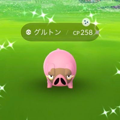 日常のポケ活をあげていますよかったらフォローお願いします🤲