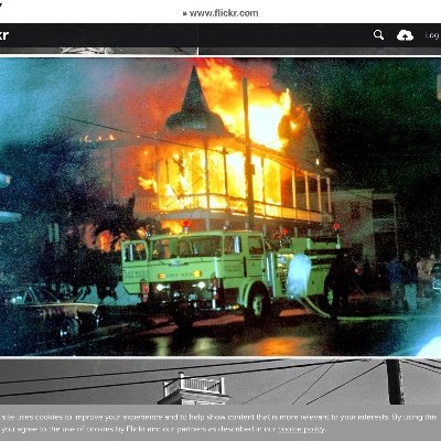 gracer_janeen's profile picture. 