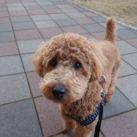 けん (@v1n3zqo1ssjfbwg) 's Twitter Profile