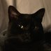 Kristen (@kristen52787574) Twitter profile photo Kristen (@kristen52787574) Twitter profile photo