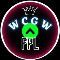 WhatCouldGoWrong(@WCGWfpl) 's Twitter Profile Photo