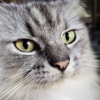 Val (@valsartan6) 's Twitter Profile
