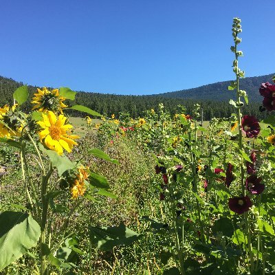 BrianPlaineng's profile picture. 73 y/o 🇨🇦, retired Red Cross, writer, reader, poetry advocate, shop locally, boycott 🇮🇱, gardener, bee-keeper, Sermon-on-the-Mount humanist,shop locally...