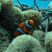 みっち (@micchi_39mx) 's Twitter Profile Photo