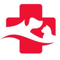 Animals First Aid(@AnimalsFA22) 's Twitter Profile Photo