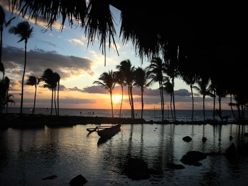 dmbluv11's profile picture. Zumba Enthusiast, Reality TV obsessed, Chocolate Junky, Bubba’s mom.