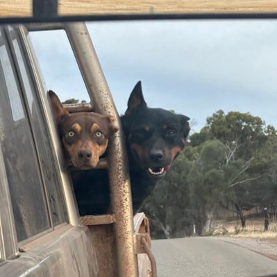 erin_emin1's profile picture. Mixed sheep/cropping in non-wetting gravels, lots of granite to heavy clays