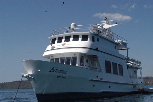 golfoexpress's profile picture. Golfo Express make diving trips to Cocos Island,Costa Rica. Come aboard with us on the Adventure and be part of the “Bio Experience”......