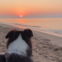 보라 💜 p_b (@purple_bbowbeau) 's Twitter Profile Photo