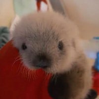 다민 (@ddeaomk_) 's Twitter Profile