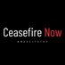 CEASEFIRE NOW 🇵🇸 (@ceasefire_now) Twitter profile photo