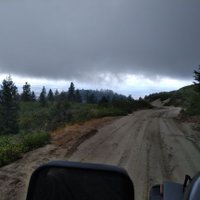 Todd (@toddomated) 's Twitter Profile